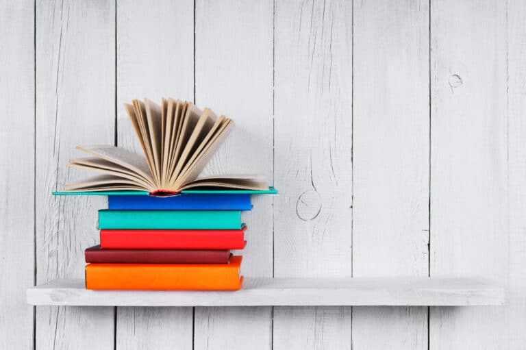minimalist lifestyle books