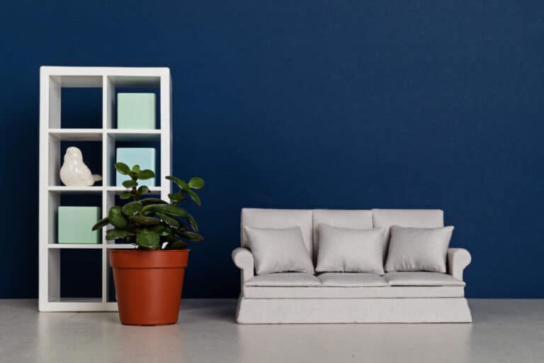 How to embrace a minimalist lifestyle